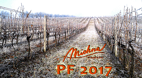 PF 2017
