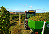 Vinobraní 2019