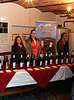 Degustace Otevřené sklepy