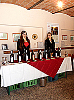 Degustace ve Vinařství Michna
